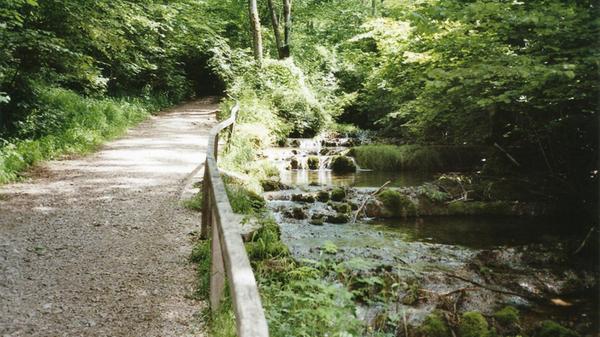 Der_Weg_zur_Lillachquelle_zaehlt_im_Sommer_zu_den_