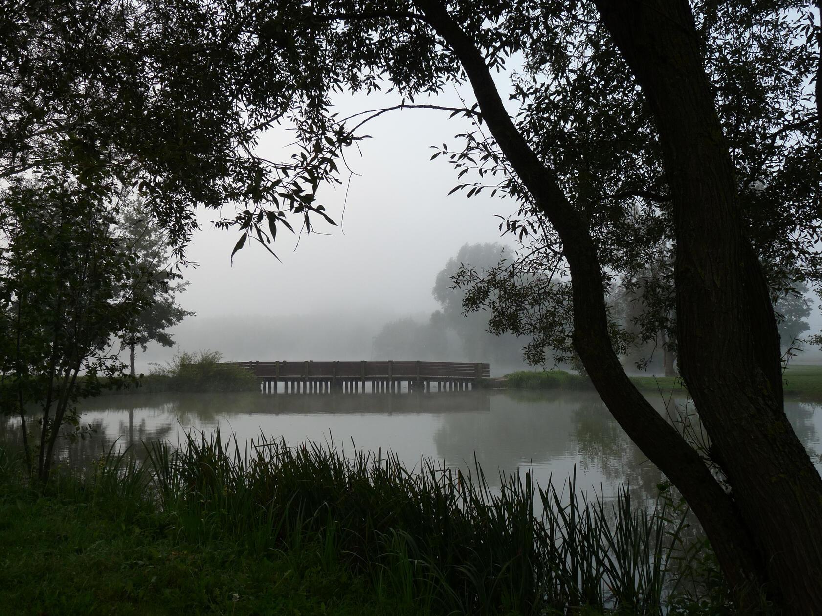 Diesen mystischen Morgennebel am Happurger Baggersee hat Wolfgang Werner aus Eschenbach eingefangen.