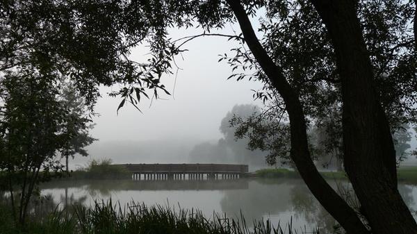 Diesen mystischen Morgennebel am Happurger Baggersee hat Wolfgang Werner aus Eschenbach eingefangen.