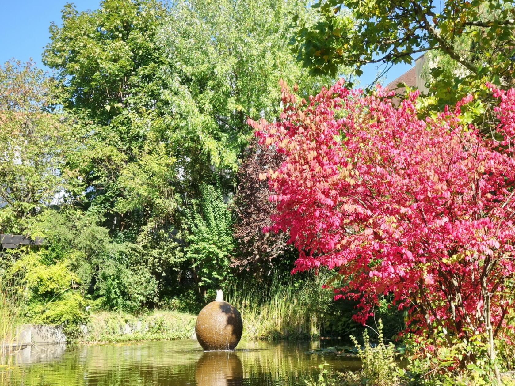 Für Manfred Pittroff ist der Bereich hinter dem Hersbrucker Sparkassengebäude sein persönlicher "Zen-Garten". Es ist immer eine Oase der Ruhe, zum Nachdenken und Gedanken ordnen - diesmal schon in Herbstfarben getaucht.