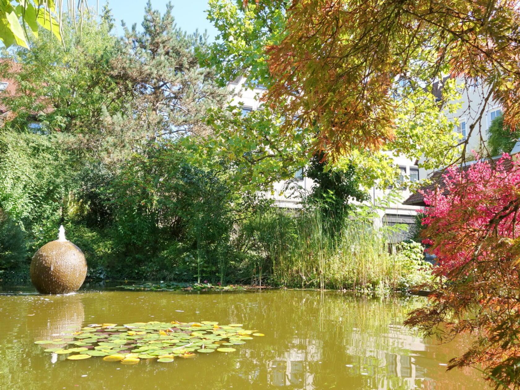 Für Manfred Pittroff ist der Bereich hinter dem Hersbrucker Sparkassengebäude sein persönlicher "Zen-Garten". Es ist immer eine Oase der Ruhe, zum Nachdenken und Gedanken ordnen - diesmal schon in Herbstfarben getaucht.