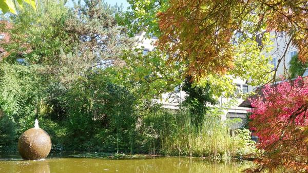 Für Manfred Pittroff ist der Bereich hinter dem Hersbrucker Sparkassengebäude sein persönlicher "Zen-Garten". Es ist immer eine Oase der Ruhe, zum Nachdenken und Gedanken ordnen - diesmal schon in Herbstfarben getaucht.