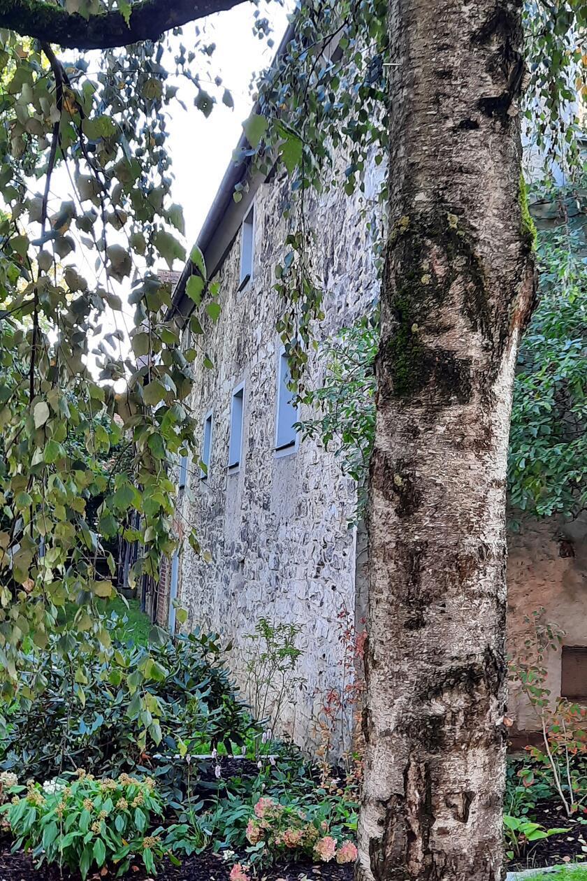 Hausfassade im kleinen Park zwischen Hirtengasse und Pegnitz in Hersbruck.