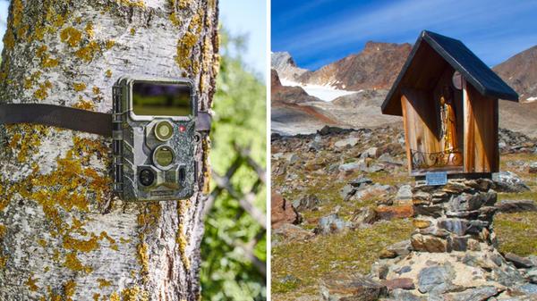 2024-09-26_11-21_collage