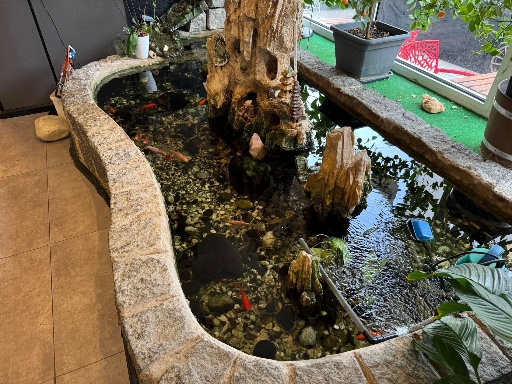 Als erstes ins Auge fällt beim Betreten der kleine Fisch-Teich im Eingangsbereich.