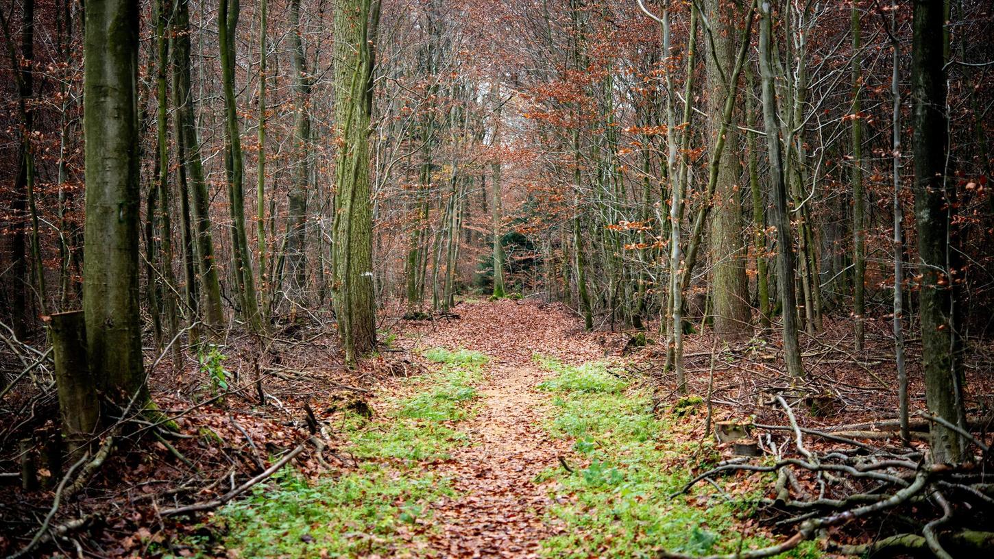 Ein Mann befuhr mit seinem Roller einen Waldweg und stürzte - Hilfe holen konnte er nicht (Symbolbild). Ein Mann befuhr mit seinem Roller einen Waldweg und stürzte - Hilfe holen konnte er nicht (Symbolbild).