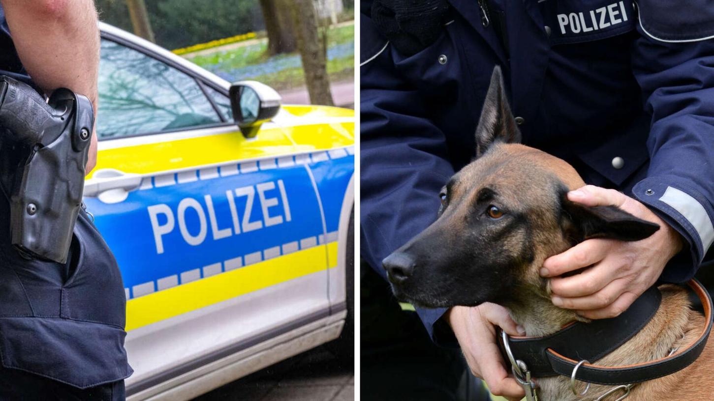 Ein 33-Jähriger wollte sich gegen seine Festnahme wehren - und griff dabei unter anderem einen Polizeihund an. (Symbolbild) Ein 33-Jähriger wollte sich gegen seine Festnahme wehren - und griff dabei unter anderem einen Polizeihund an. (Symbolbild)