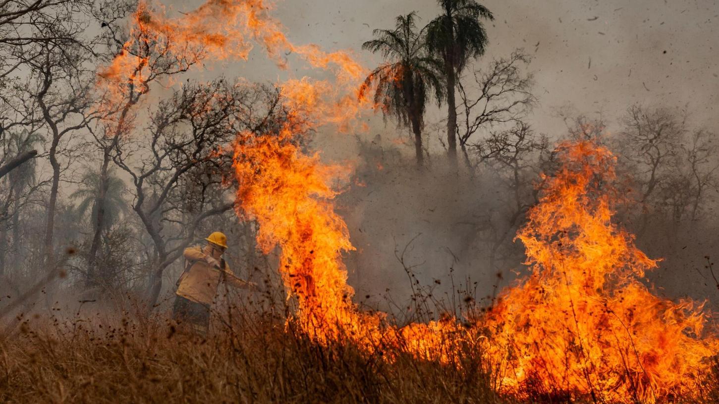 Das Feuer richtet Verwüstung in der gesamten Region an. Das Feuer richtet Verwüstung in der gesamten Region an.