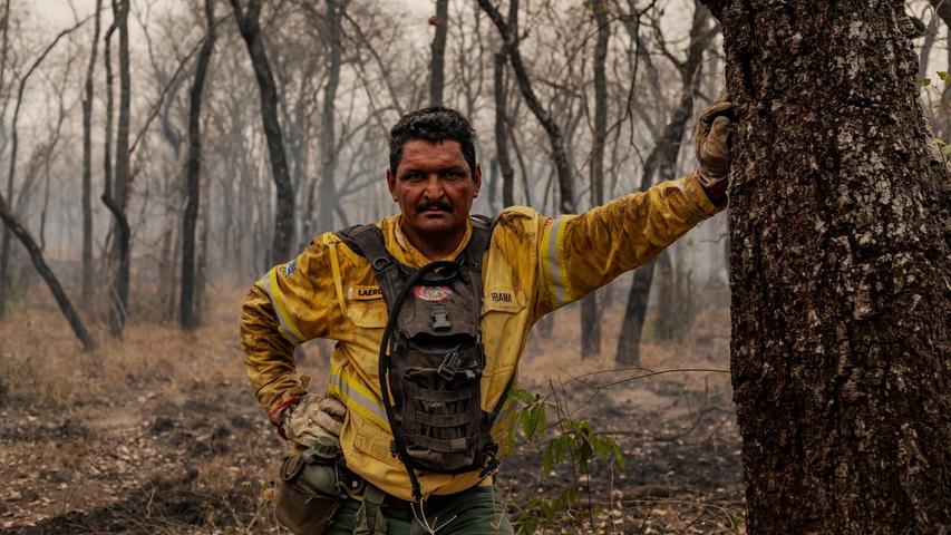 "Wir müssen unsere Umwelt verteidigen, wer soll es sonst machen?", sagt Fernandes. "Wir müssen unsere Umwelt verteidigen, wer soll es sonst machen?", sagt Fernandes.
