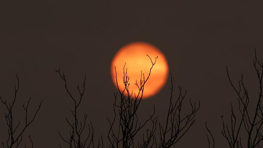 Der gesamte Himmel ist bei den Bränden in Rauch gehüllt. Der gesamte Himmel ist bei den Bränden in Rauch gehüllt.