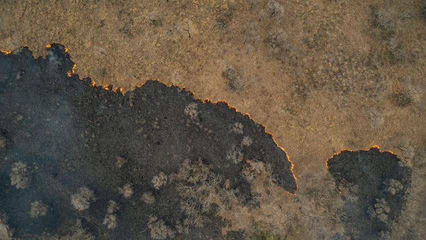 Die Luft flimmert vor Hitze, während sich die Flammen durch das trockene Gras fressen. Die Luft flimmert vor Hitze, während sich die Flammen durch das trockene Gras fressen.