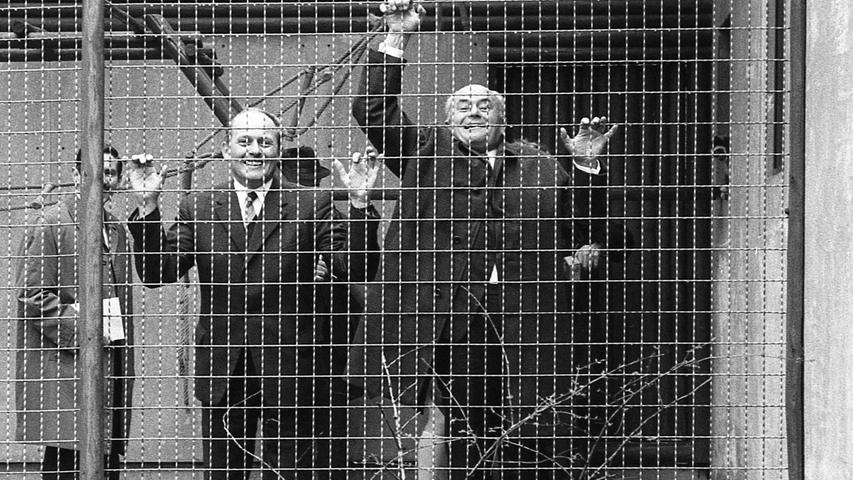 „Füttern verboten“ – Was für die Bewohner des Nürnberger Tiergartens gilt, traf so im April des Jahres 1970 auch für den damaligen 2. Bürgermeister Franz Haas (rechts) zu, der - zusammen mit Tiergarten-Assistent Dr. Manfred Kraus - seine kurzzeitige Rolle als Attraktion im neu eingerichteten Freigehege der Gibbons unerwartet ausdrucksstark verkörperte. Die zum Ende des Vorjahres in schlechtem Zustand aus Ostasien eingetroffenen Affen wurden noch in einer eigenen Quarantänestation des Tiergartens liebevoll aufgepäppelt. Bevor sie in ihr neues Domizil übersiedelten, ließ es sich Franz Haas nicht nehmen, sie zu besuchen und einige Bananen zu verteilen. „Füttern verboten“ – Was für die Bewohner des Nürnberger Tiergartens gilt, traf so im April des Jahres 1970 auch für den damaligen 2. Bürgermeister Franz Haas (rechts) zu, der - zusammen mit Tiergarten-Assistent Dr. Manfred Kraus - seine kurzzeitige Rolle als Attraktion im neu eingerichteten Freigehege der Gibbons unerwartet ausdrucksstark verkörperte. Die zum Ende des Vorjahres in schlechtem Zustand aus Ostasien eingetroffenen Affen wurden noch in einer eigenen Quarantänestation des Tiergartens liebevoll aufgepäppelt. Bevor sie in ihr neues Domizil übersiedelten, ließ es sich Franz Haas nicht nehmen, sie zu besuchen und einige Bananen zu verteilen.