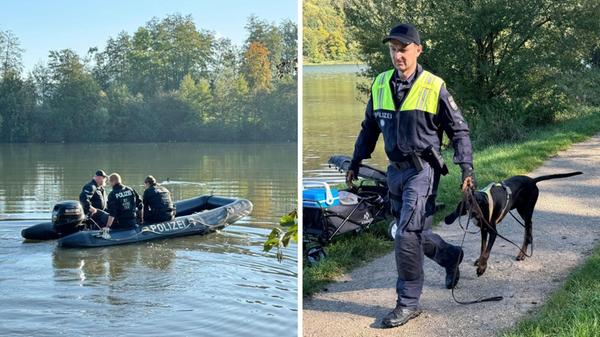 2024-10-09_12-37_collage