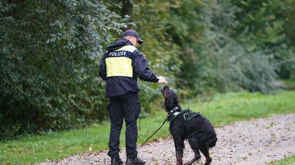 Ein Suchtrupp mir Leichenspürhunden ist seit Samstagmorgen im Einsatz.