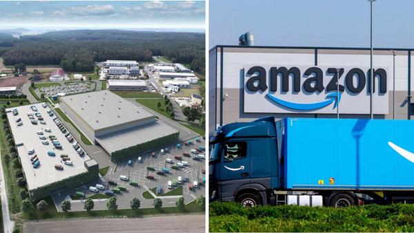 Amazon Collage