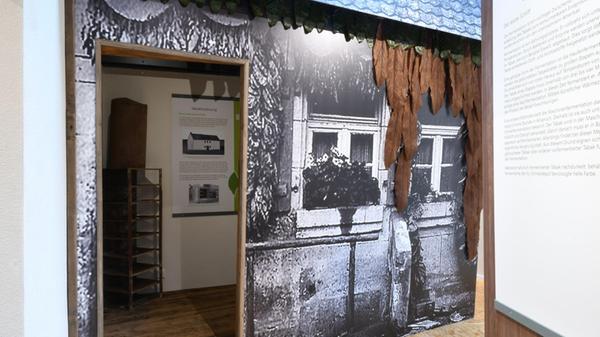 Tabakanbau_Kammerstein_Rudelsdorf4