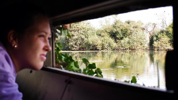 Vogelbeobachtung im riesigen Marschland bei Saint-Omer im Hinterland.