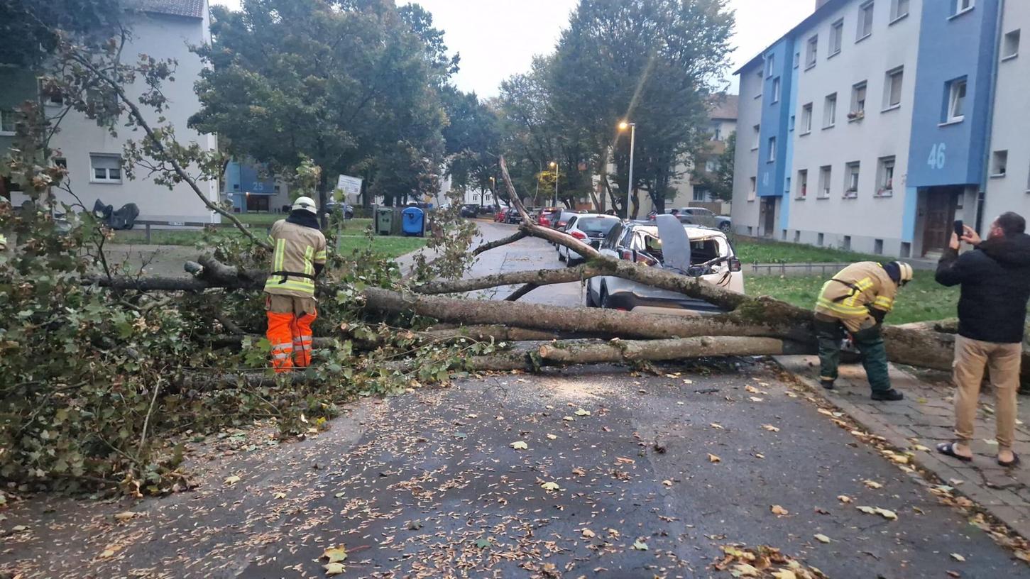 In Bamberg musste die Feuerwehr einen auf ein Auto gestürzten Baum von der Straße räumen. In Bamberg musste die Feuerwehr einen auf ein Auto gestürzten Baum von der Straße räumen.