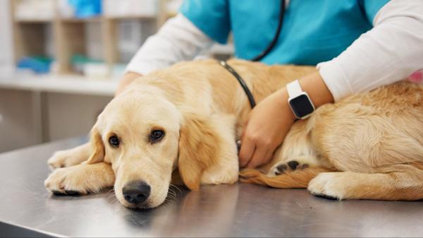 imago images 0584069505