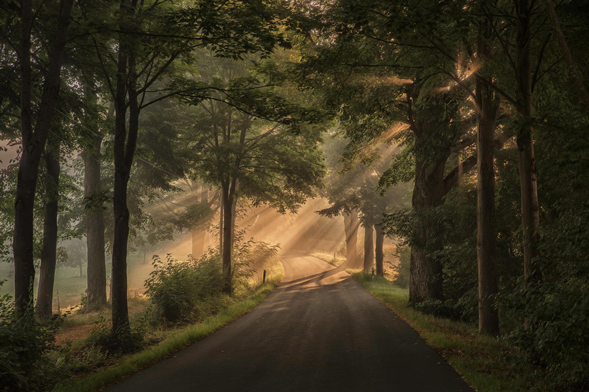 Auf dem Weg zur Grotte in Krottensee, im August frühmorgens die Sonnenstrahlen eingefangen.