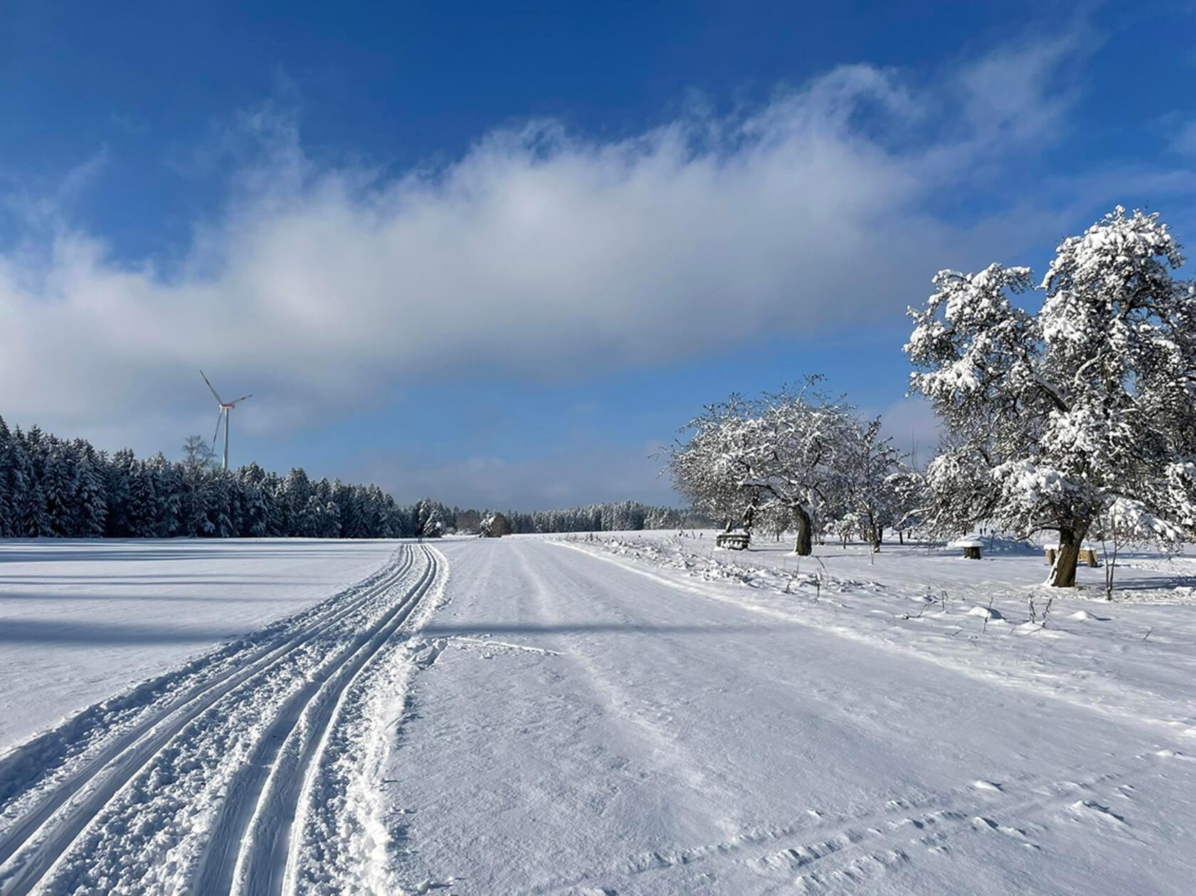 Die Langlaufloipe in Waller an einem sonnigen Dezembertag.