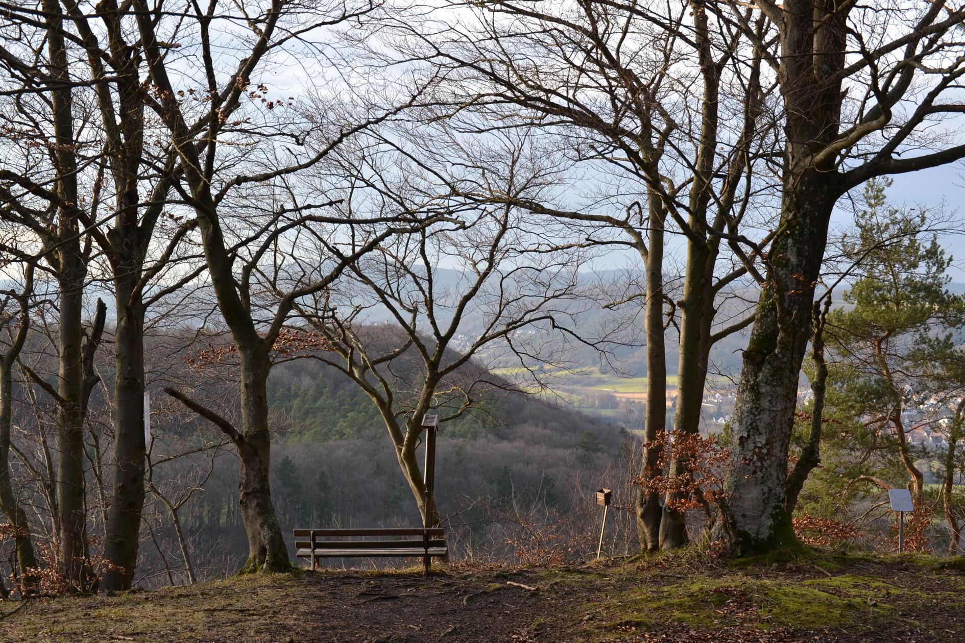 Die Mühlkoppe in Pommelsbrunn im Februar.