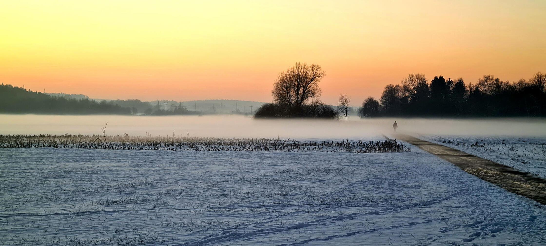 Die Pegnitzwiesen Richtung Henfenfeld im Dezember.