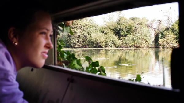 Hauts-de-France Niese Sommer 2024