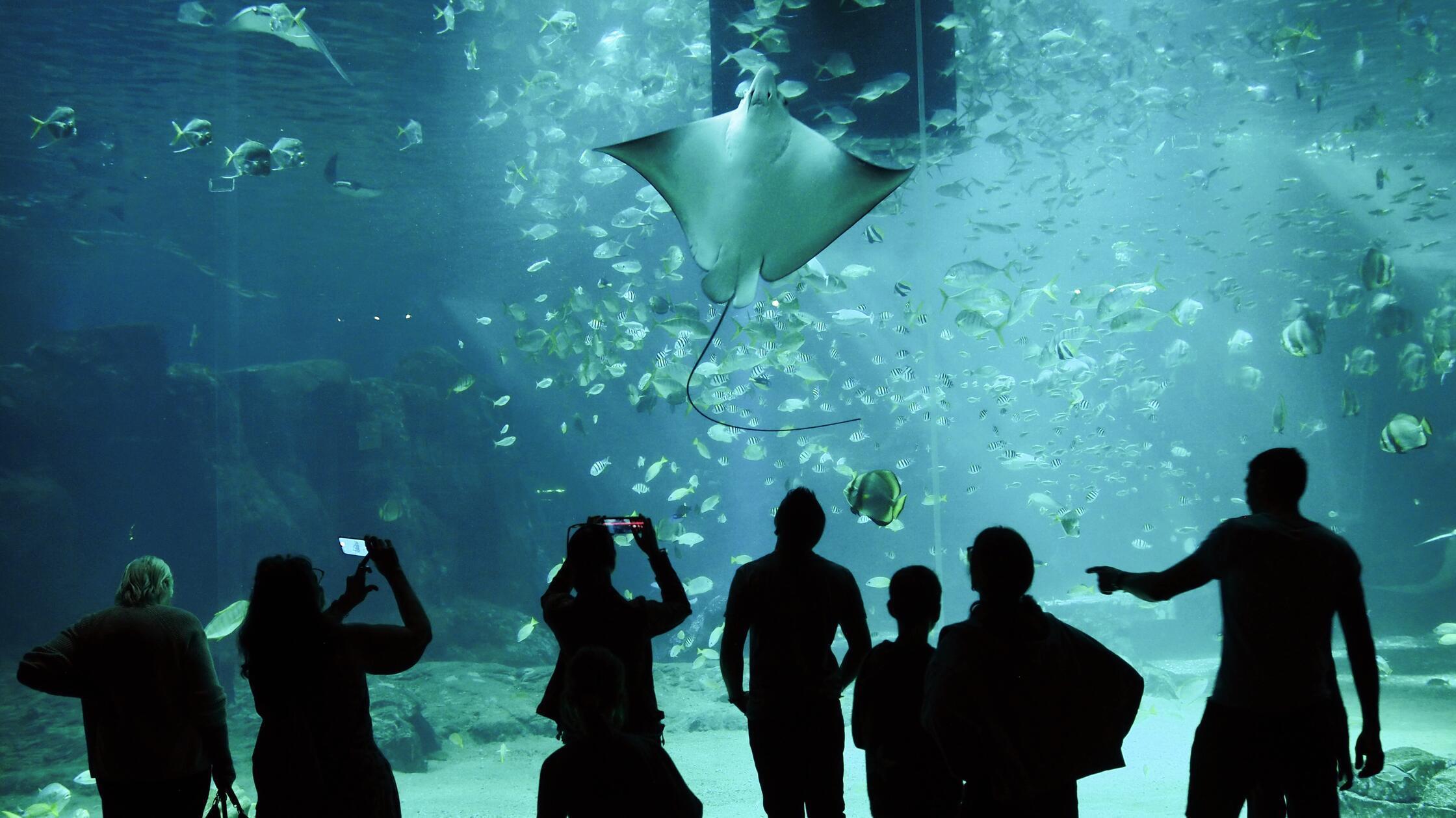 Hauts-de-France Niese Sommer 2024