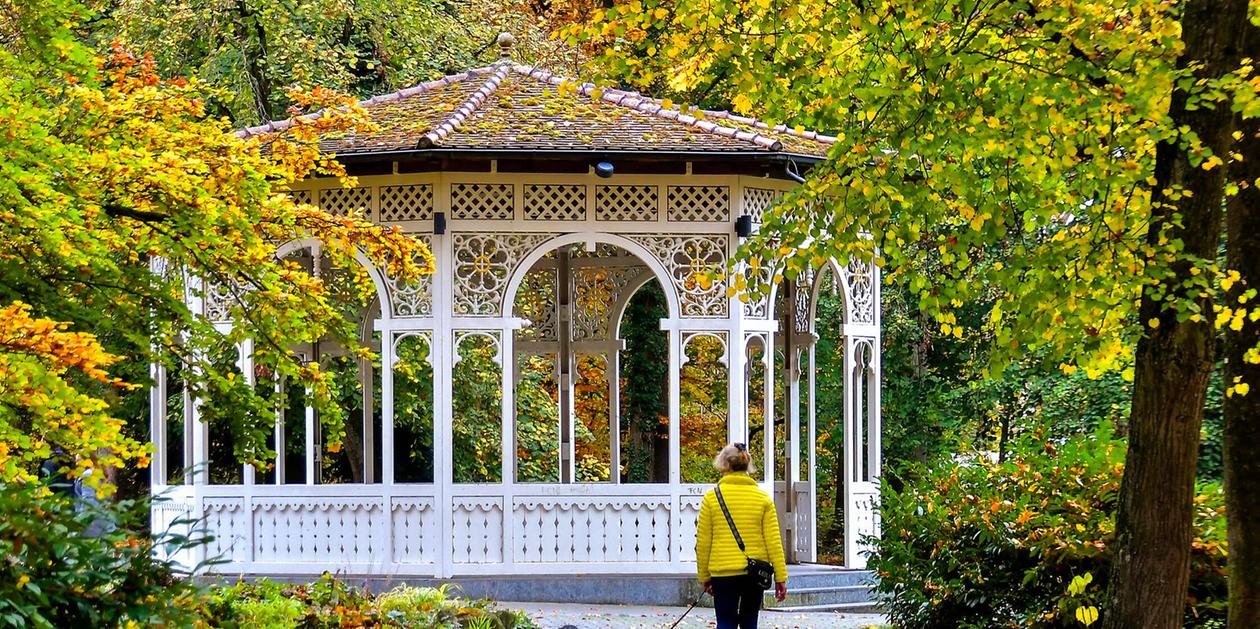 Golden autumn in Roth-Schwabach: These are the most beautiful places for a ...