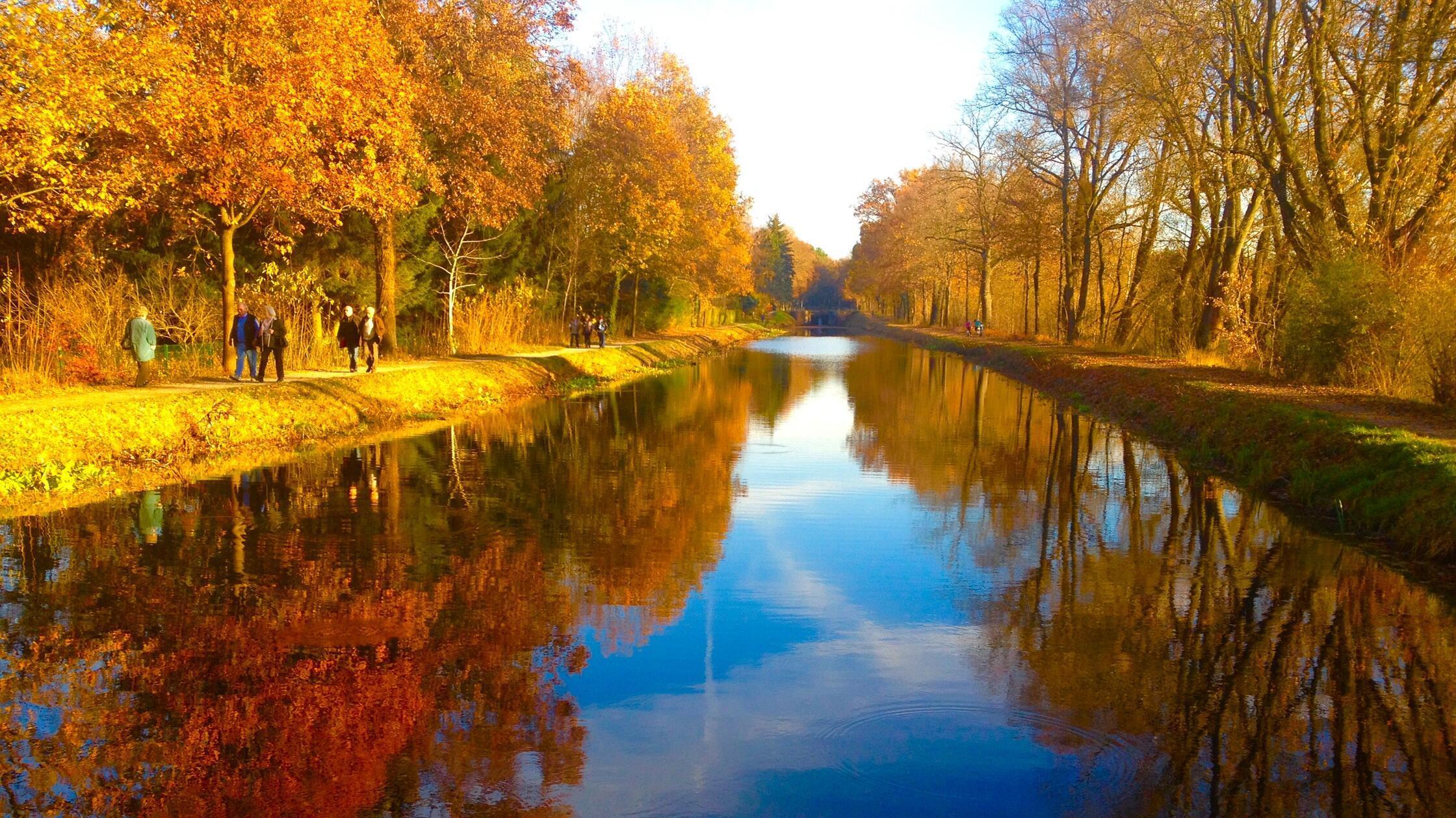 MOTIV: Herbst, Farben; Herbstfärbung; Spiegelung; 