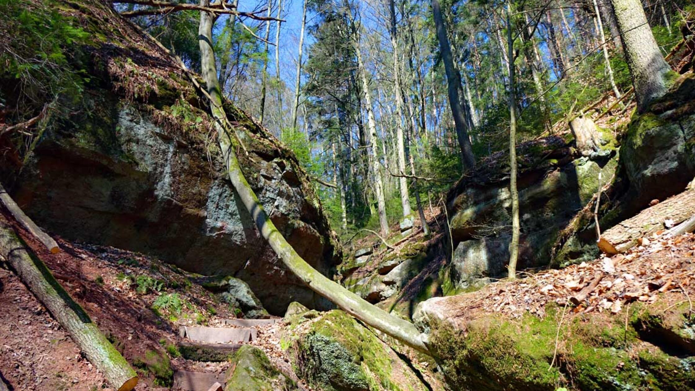 Wandern-Spalt-Massendorfer-Schlucht-Landkreis-Roth