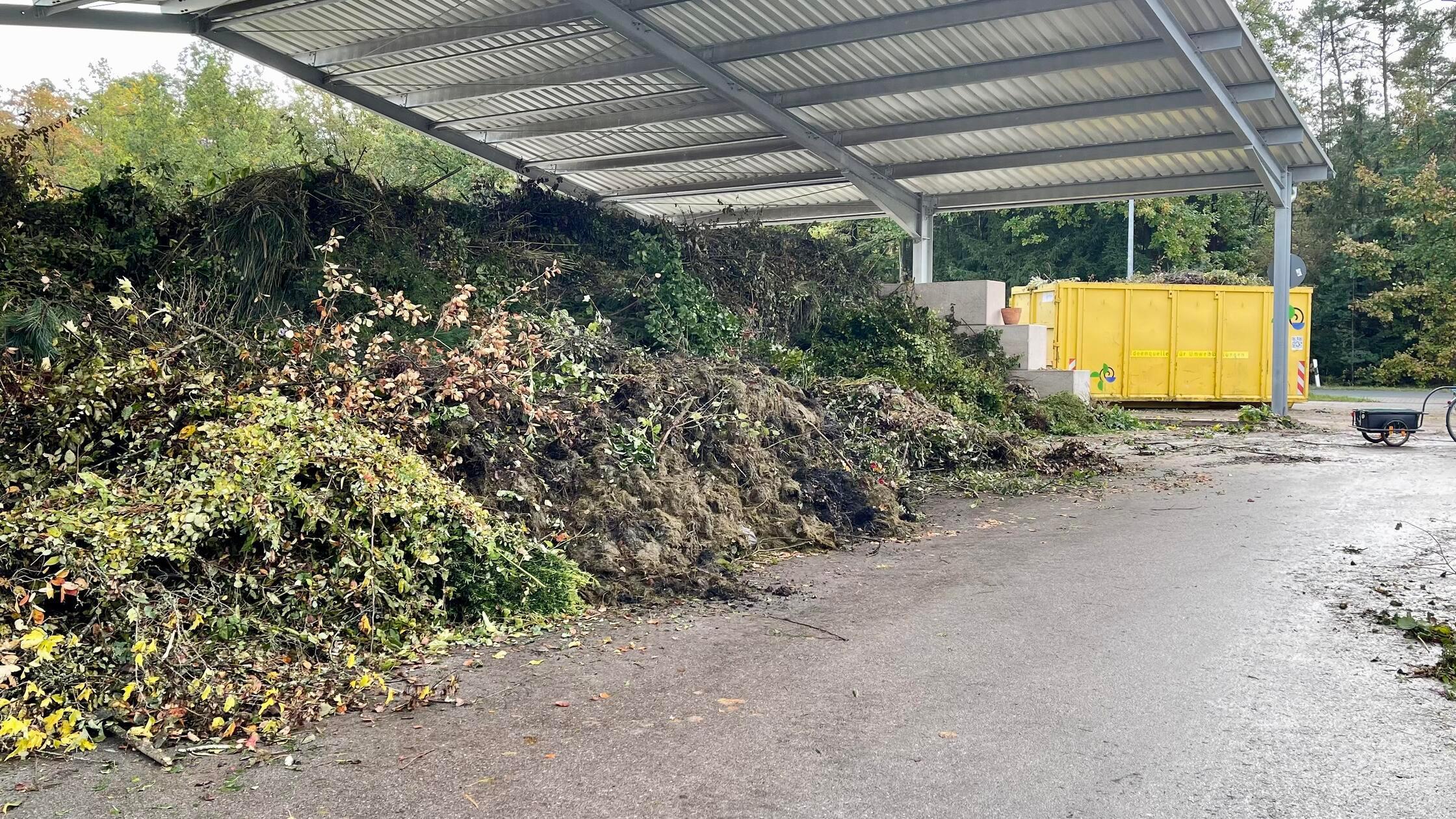 Fremde Grünabfälle belasten Allersberg: Oberpfälzer entsorgen Müll ...