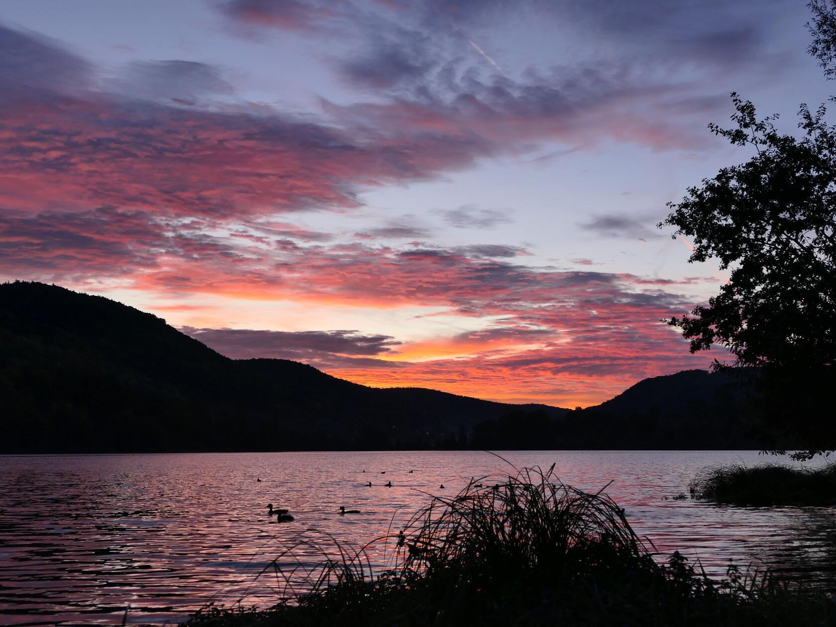 Morgenstimmung am Happurger Stausee.