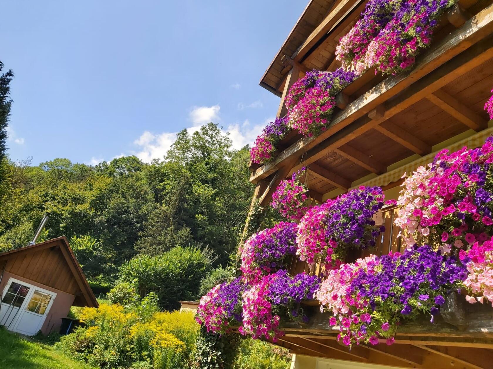 Zauberhafter Herbsttag in Düsselbach.