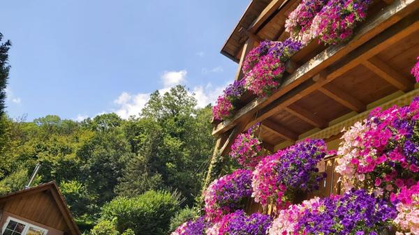 Zauberhafter Herbsttag in Düsselbach.