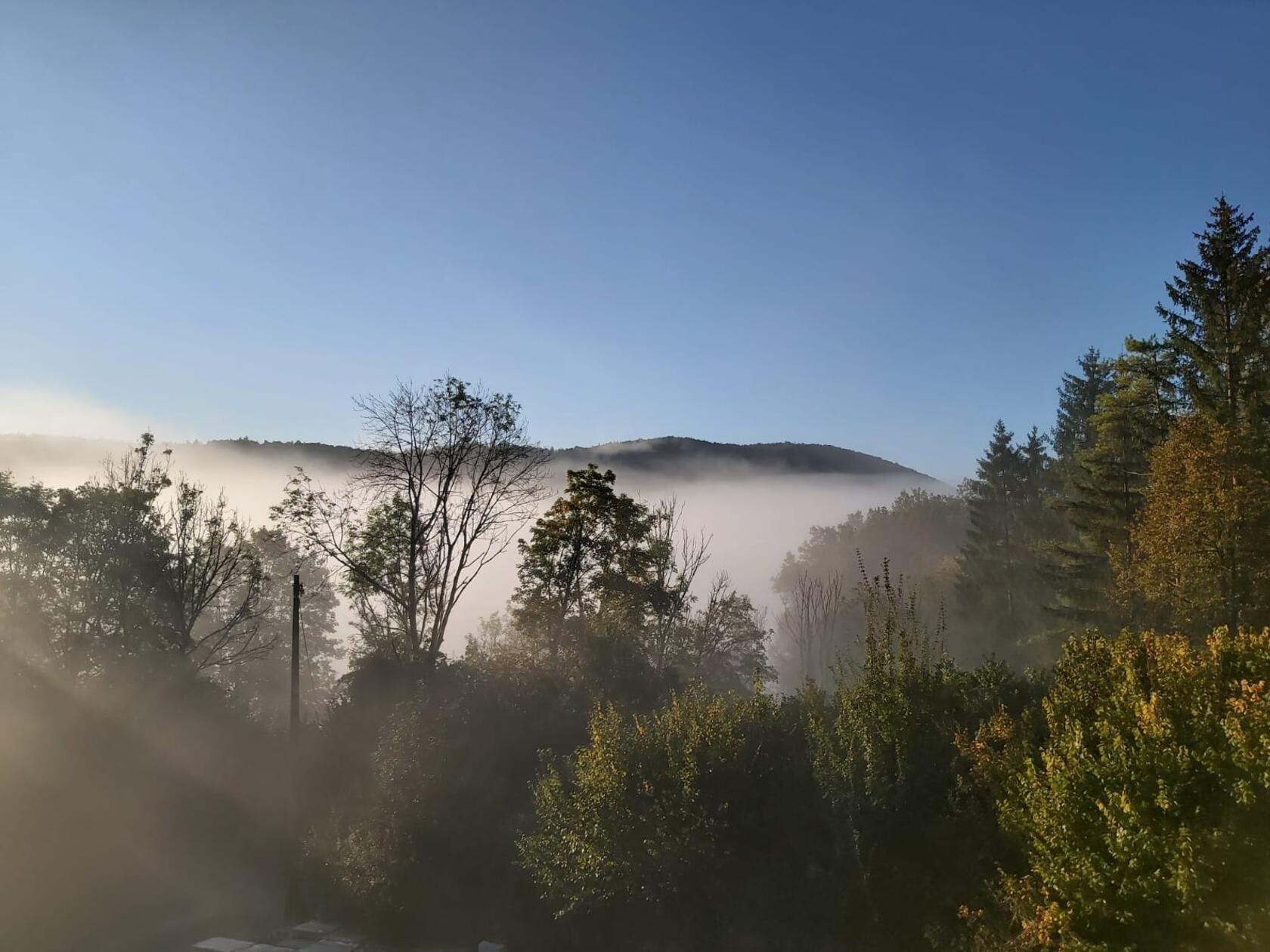 Morgennebel über Düsselbach.