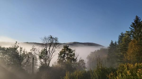 Morgennebel über Düsselbach.