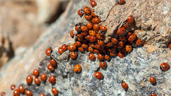 imago images 196448786