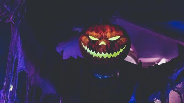 "Halloween meets Mittelalter und Fantasy" heißt es von Freitag, 25. Oktober, bis Sonntag, 27. Oktober, in der "Halloween Town" in Gut Wolfgangshof, in Zirndorf. Das Programm bietet für Kinder und Erwachsene Live-Musik, Zauberei, Kinderschminken, Feuershows und vieles mehr.