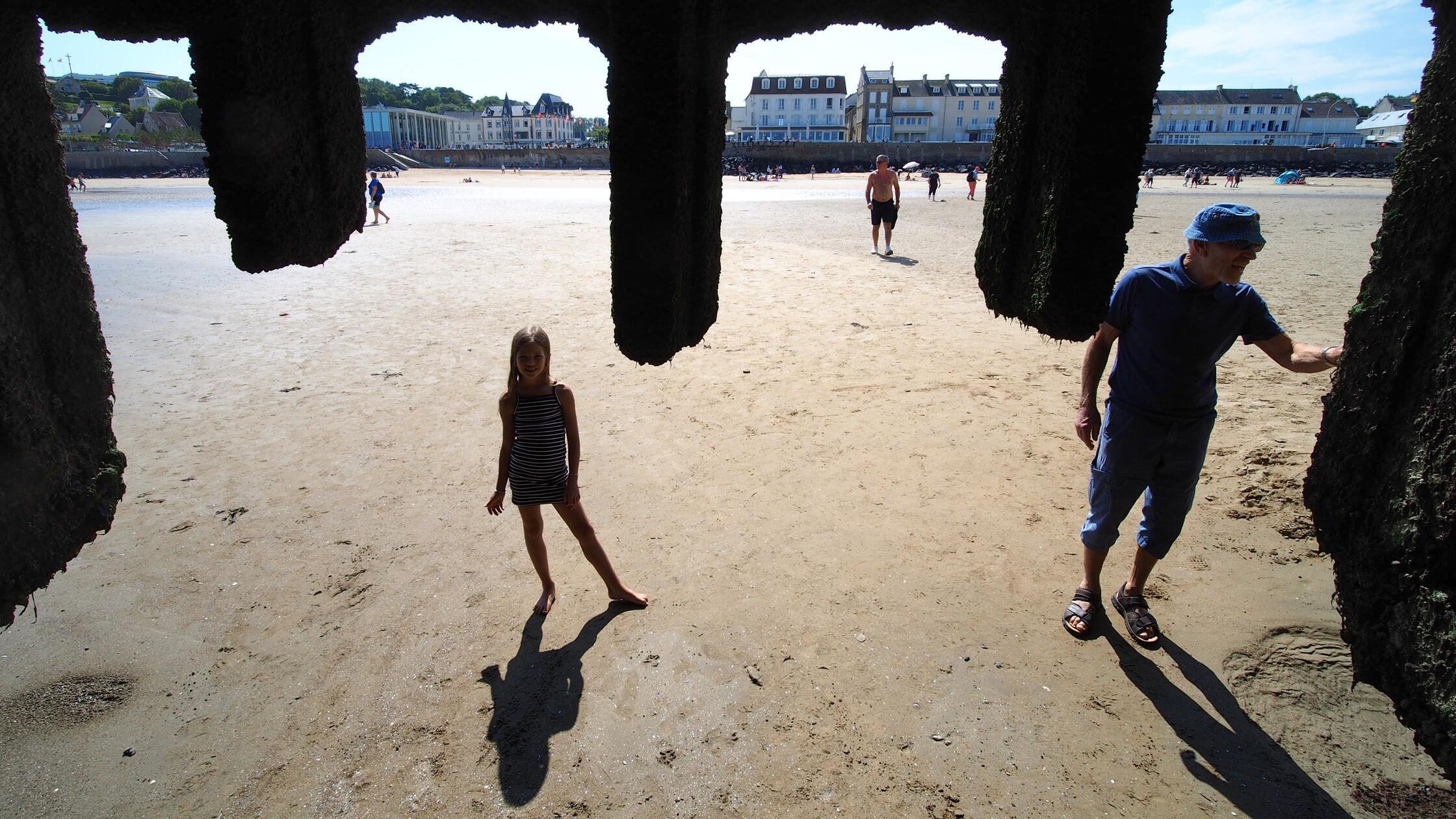 2024_FrankreichNormandieNiese (1 (66)