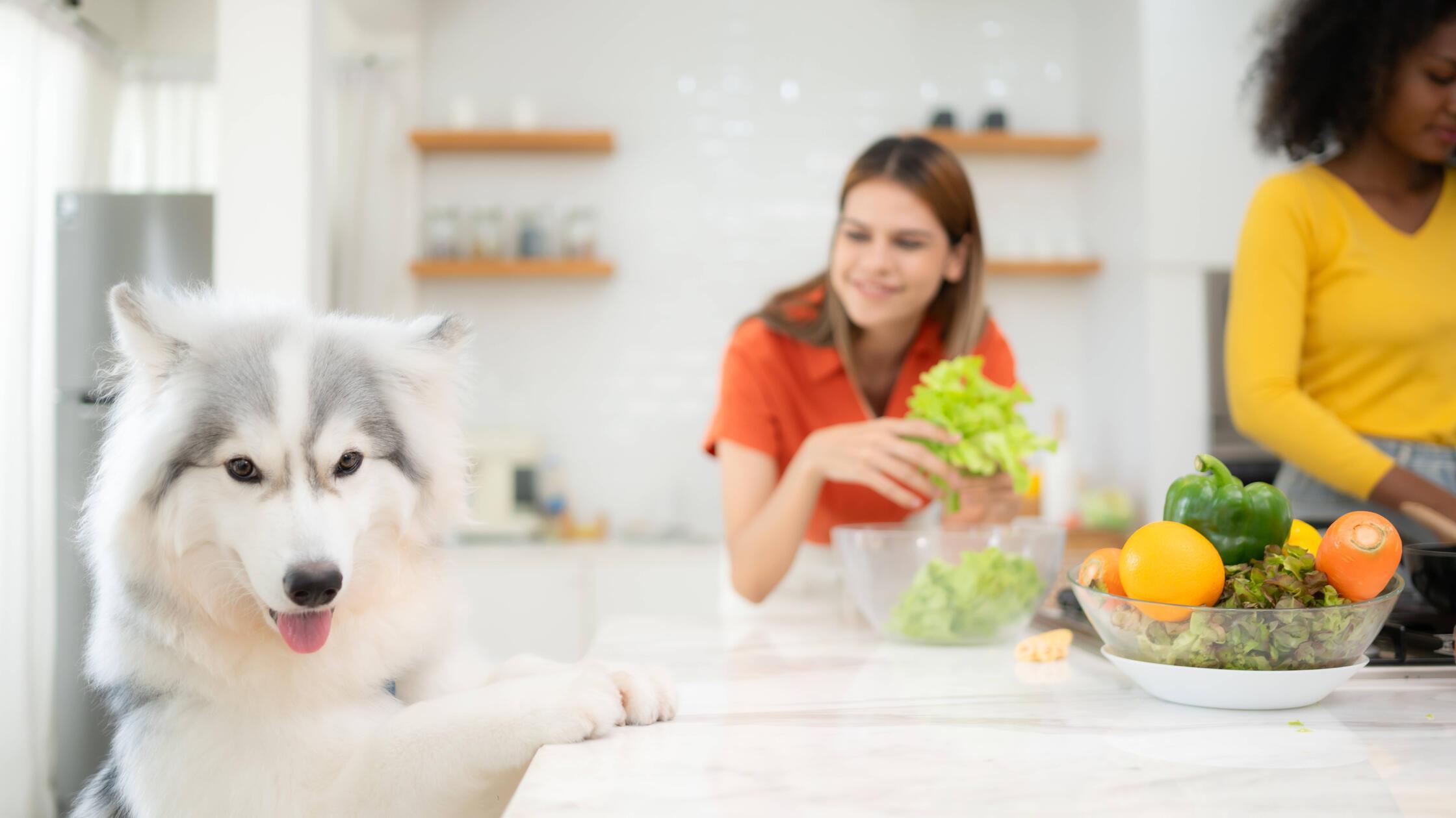 imago images 0307219093