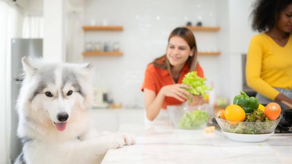 imago images 0307219093