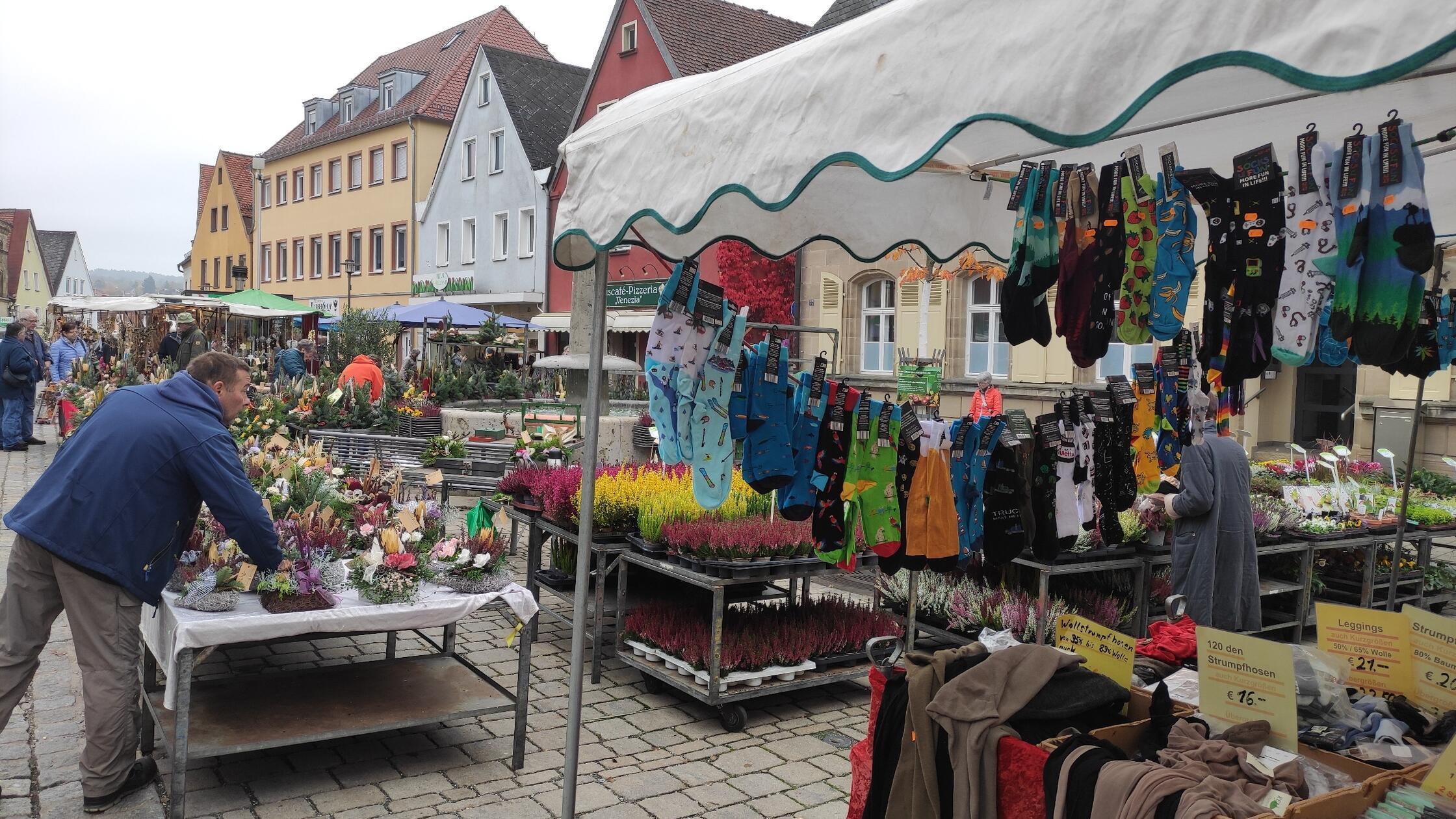 hortensien dngen sommer Purgrn Rispenhortensie-Dnger 1 Liter