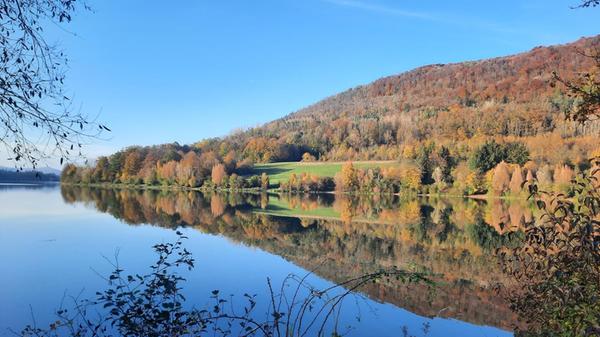 Goldener Herbst am Happurger Stausee.