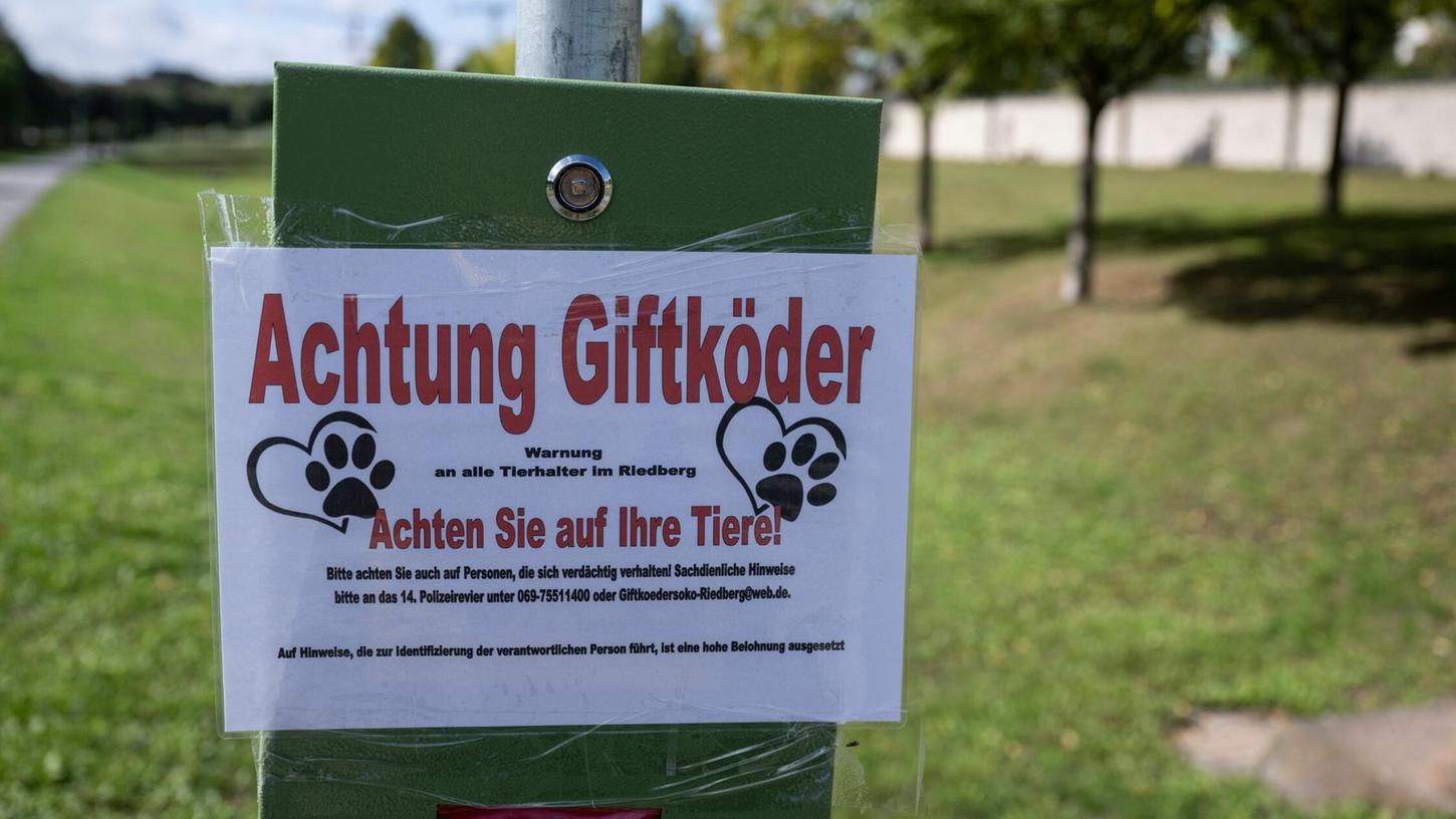 Der Hund hat beim Gassigehen eine Rasierklinge ausgeschieden. (Symbolbild) Der Hund hat beim Gassigehen eine Rasierklinge ausgeschieden. (Symbolbild)