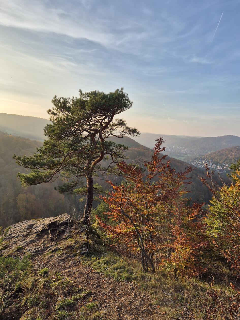 Mühlkoppe bei Pommelsbrunn.