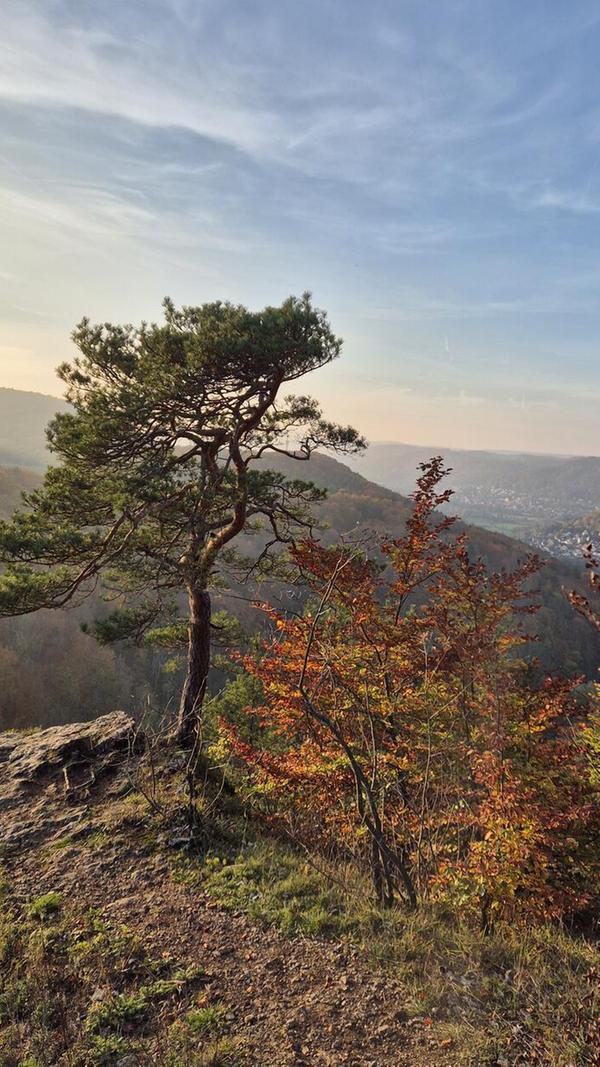 Mühlkoppe bei Pommelsbrunn.