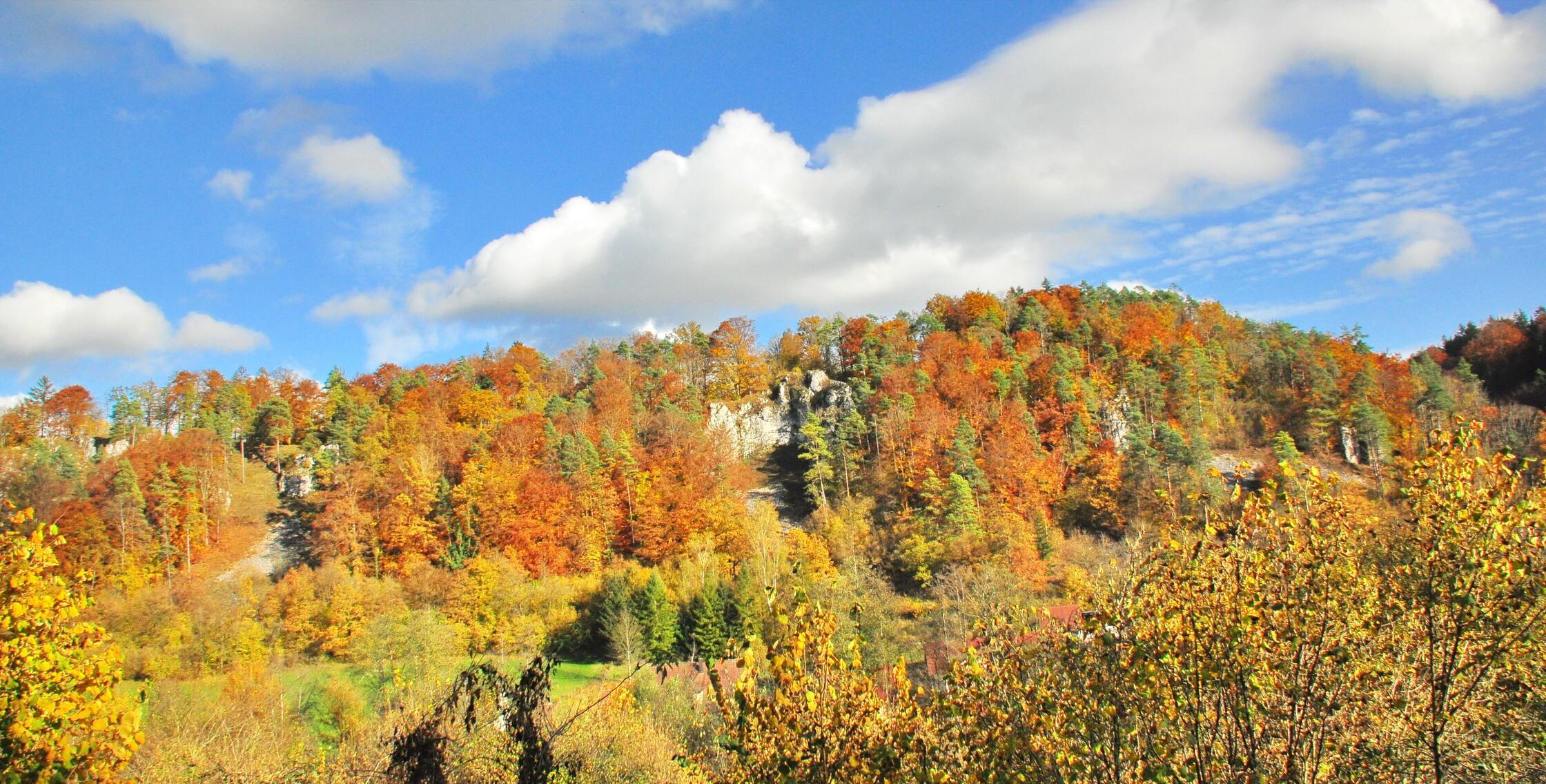 "Herbstfarbenexplosion" bei Enzendorf.