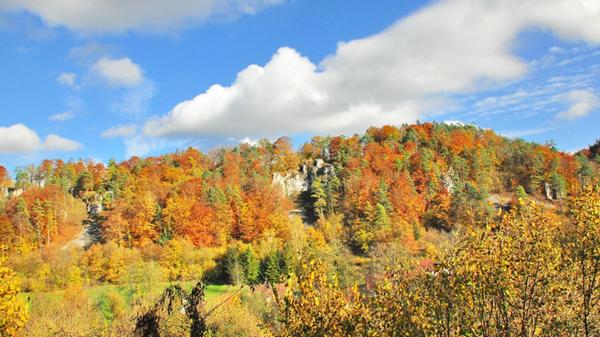 "Herbstfarbenexplosion" bei Enzendorf.